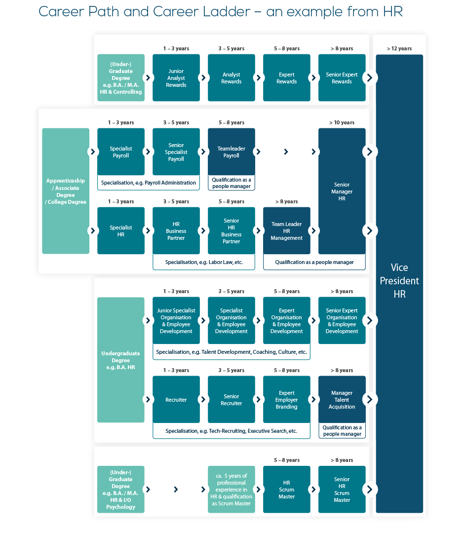 Exemple des parcours professionnels et échelons